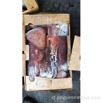 Frozen Squid Sthenoteuthis Oualaniensis WR 500-1000g